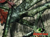 Blackberry Curve Wallpaper - Mossy Oak Treestand