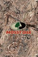 iPhone 2g/3g/3gs Wallpaper - Mossy Oak Duck Blind