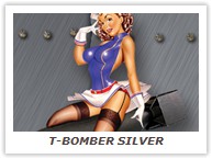 T-BOMBER SILVER