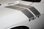 Dodge Challenger RT Stripes Vinyl Graphics Decal SILVER(2008-2014)
