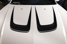 Dodge Charger C Stripe Hood Insert Vinyl Graphic Decals (2011-2014)