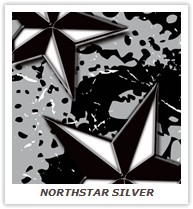 NORTHSTAR SILVER