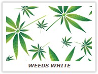 WEEDS WHITE