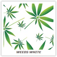 WEEDS WHITE