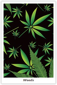 Weeds