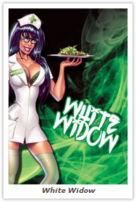 White Widow
