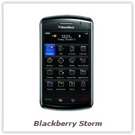 Blackberry Storm